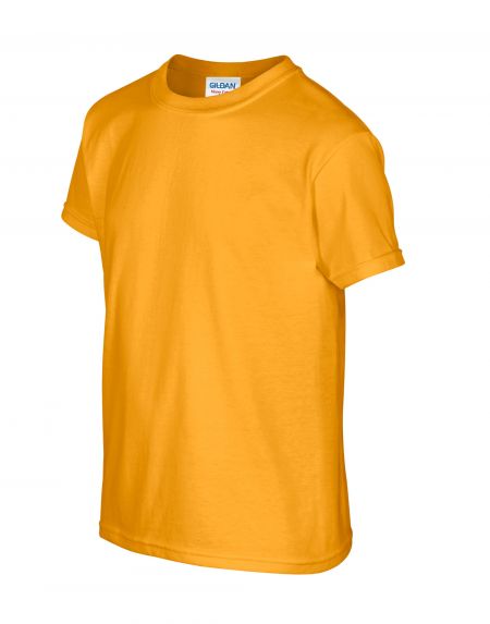 Mary Rose Academy Gold PE T-Shirt