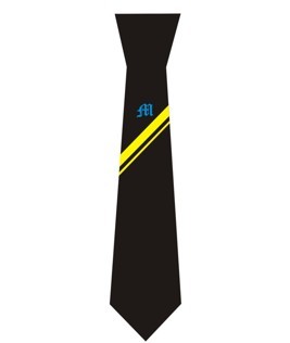 Mayfield School Clip On Tie YR11