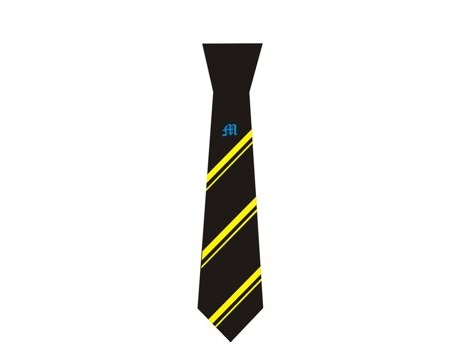 mayfield school clip on tie